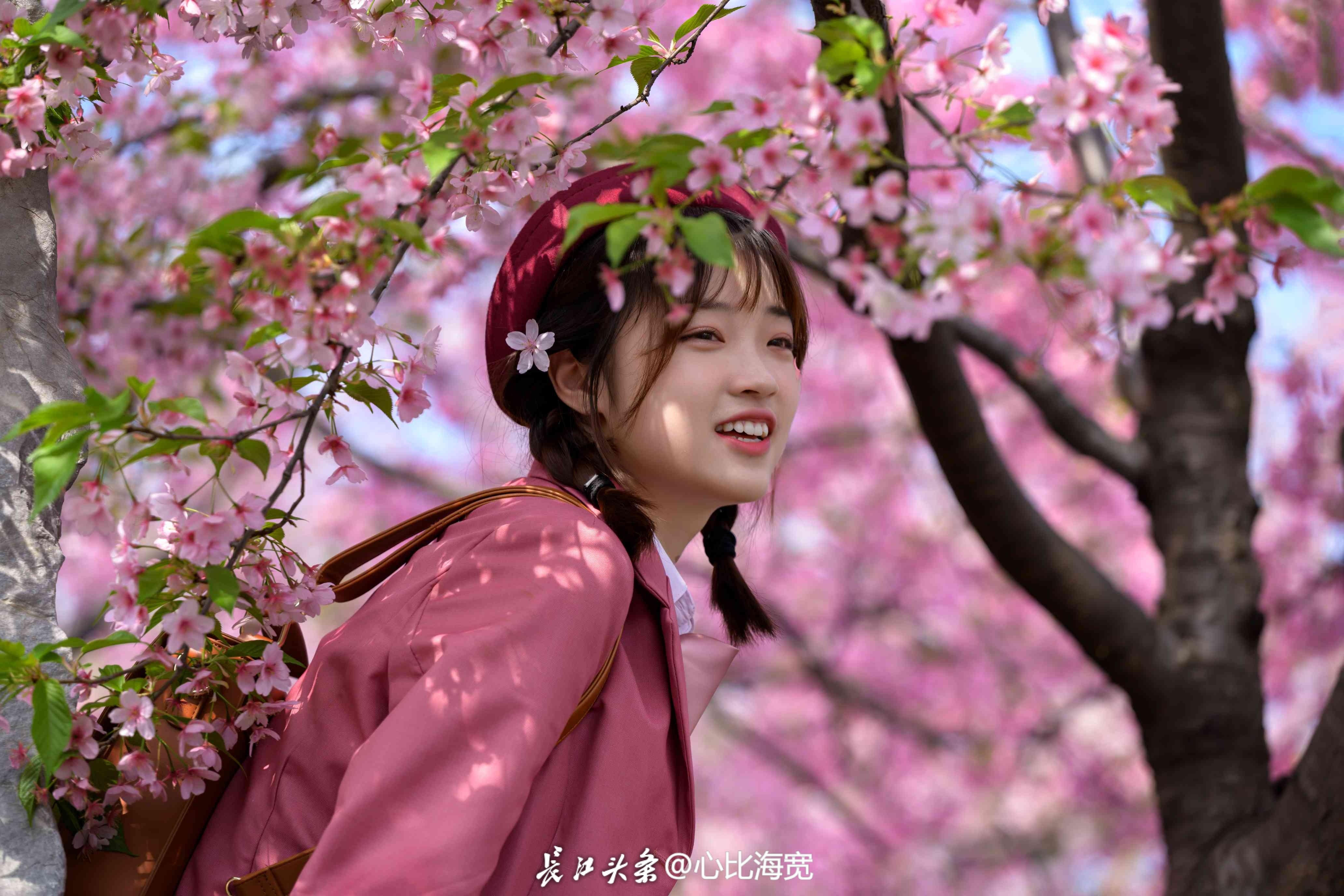 长江网 网聚向上的力量