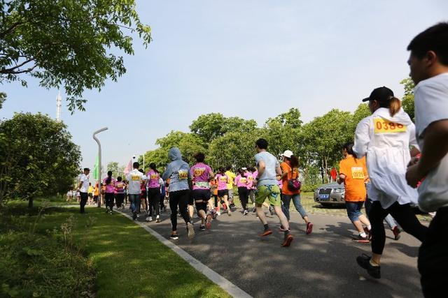 健康引领 800余名青年医务工作者 在青山江滩燃情开跑