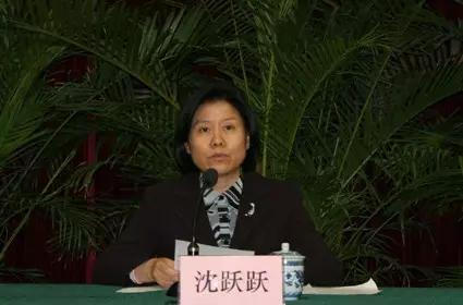30名副国级以上女官员,谁的仕途不同寻常?