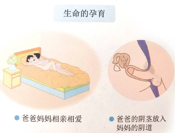 两年前,小学生们第一次在课本上看到生殖器官的小幅图片。有人一脸茫然,有人蒙住眼睛大喊:“啊!我不敢看!”老师卢新晨开口讲课,居然有孩子盖上课本,捂耳朵拒绝听讲。